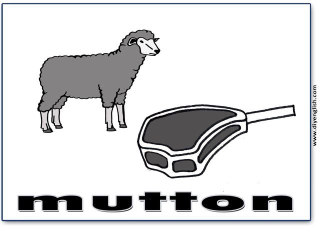 mutton – English word flashcard