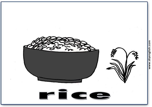 rice – English word flashcard