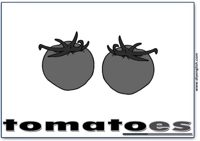 tomatoes – English word flashcard