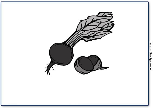 beet – Blank – colour & write flashcard