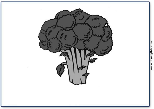 broccoli – Blank – colour & write flashcard