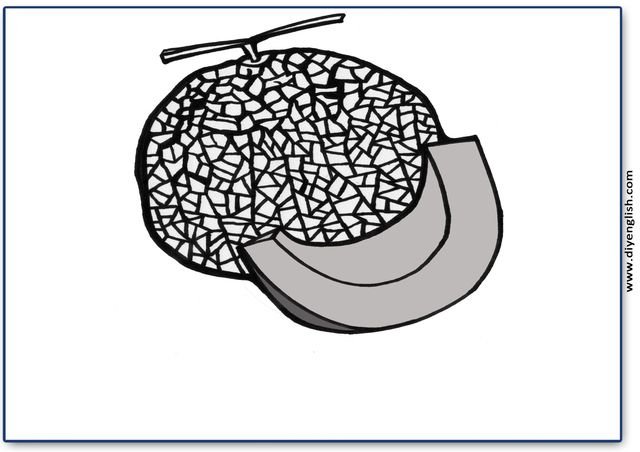 cantaloupe – Blank – colour & write flashcard
