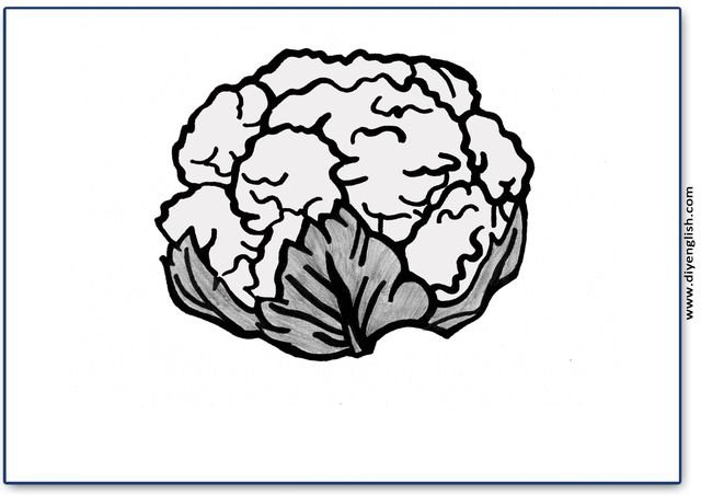 cauliflower – Blank – colour & write flashcard