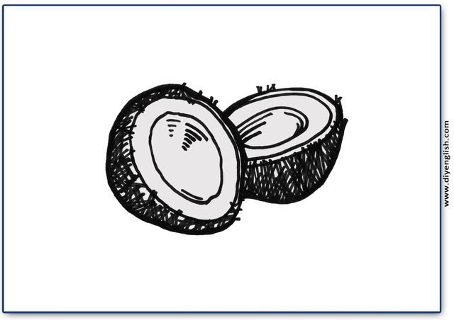 coconut – Blank – colour & write flashcard