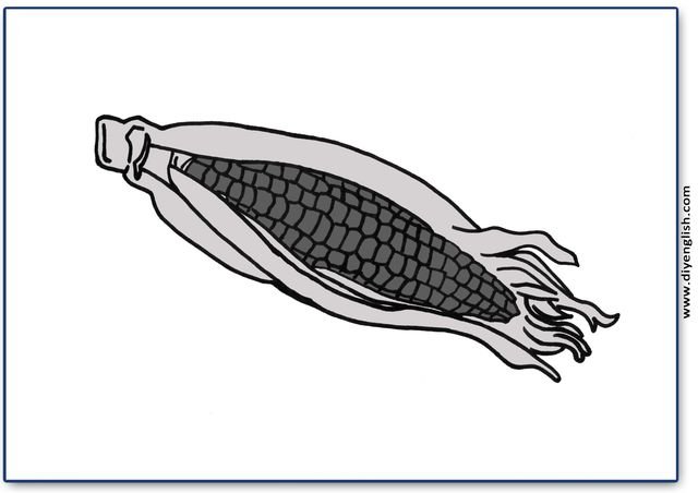 corn – Blank – colour & write flashcard