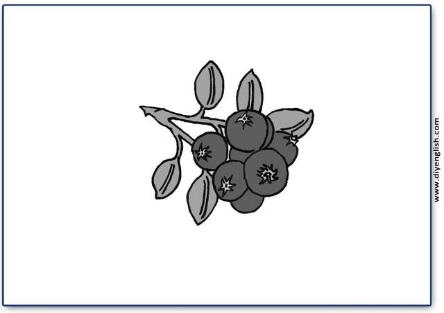 cranberries – Blank – colour & write flashcard