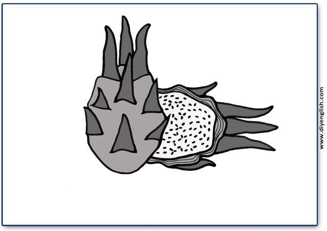 dragon fruit – Blank – colour & write flashcard