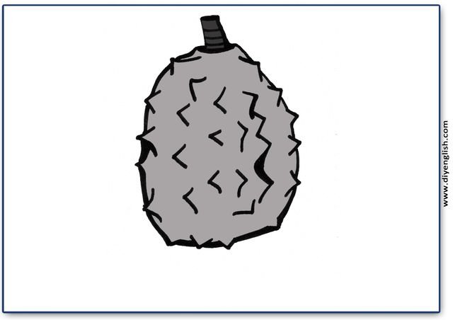 durian – Blank – colour & write flashcard