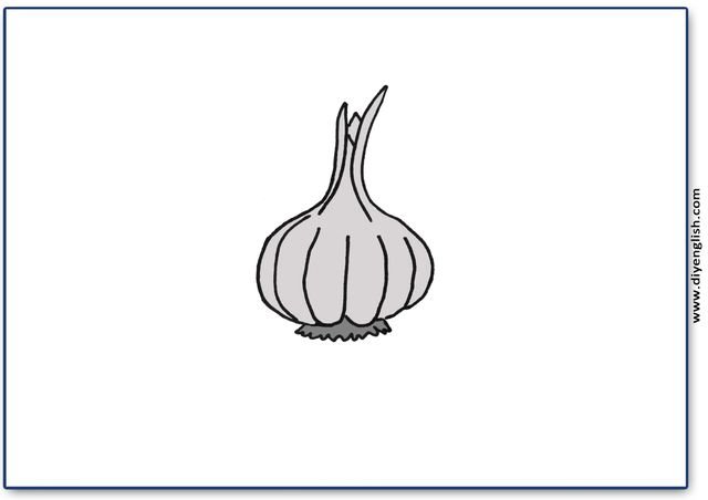 garlic – Blank – colour & write flashcard