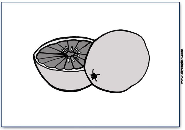 grapefruit – Blank – colour & write flashcard