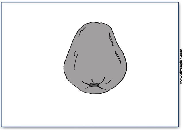 guava – Blank – colour & write flashcard