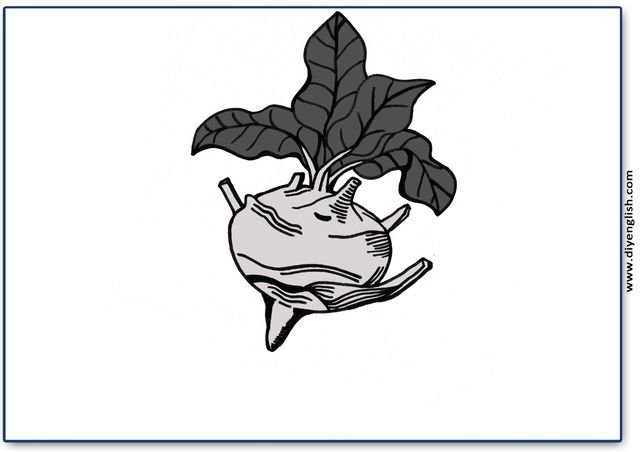 kohlrabi – Blank – colour & write flashcard