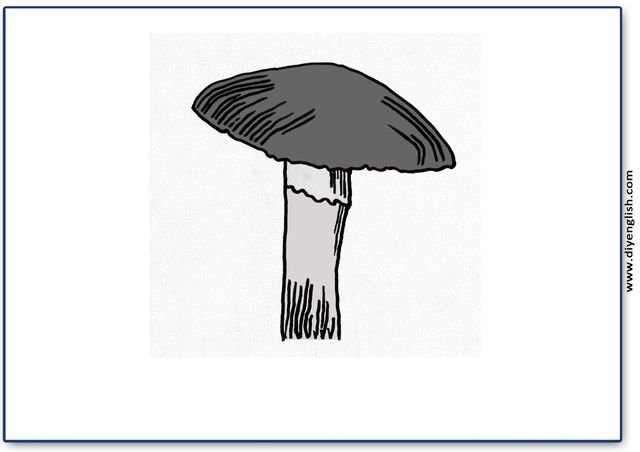 mushroom – Blank – colour & write flashcard