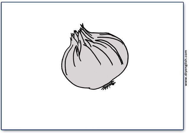 onion – Blank – colour & write flashcard