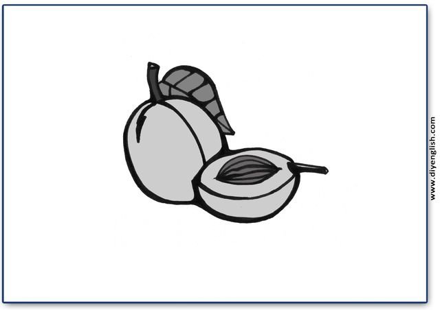 peaches – Blank – colour & write flashcard