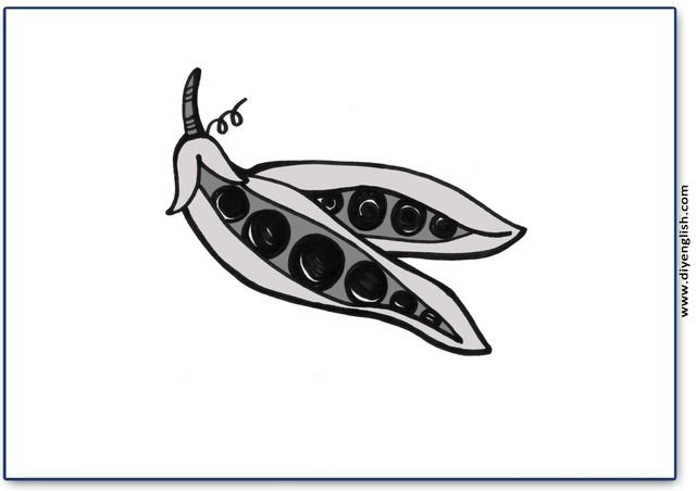 peas – Blank – colour & write flashcard