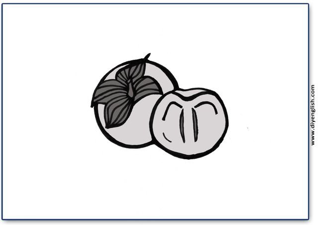 persimmon – Blank – colour & write flashcard