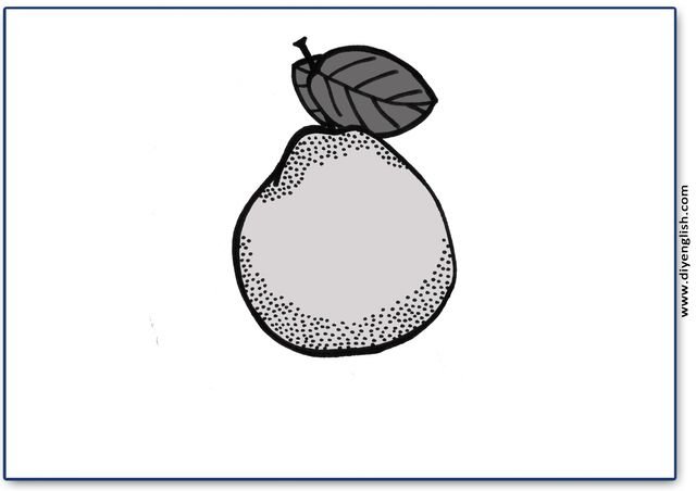 pomelo – Blank – colour & write flashcard