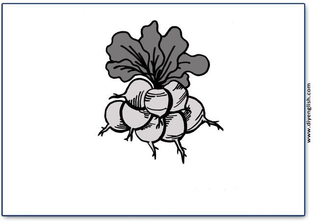 radishes – Blank – colour & write flashcard