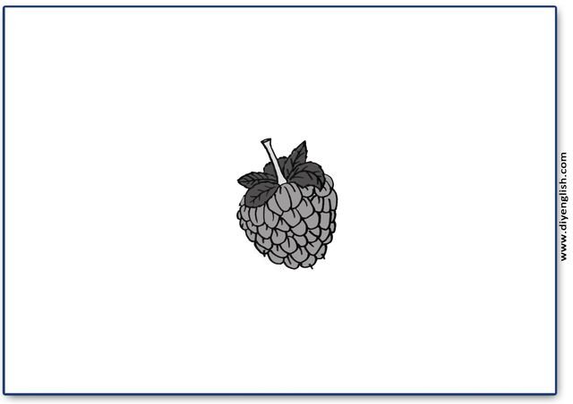 raspberry – Blank – colour & write flashcard