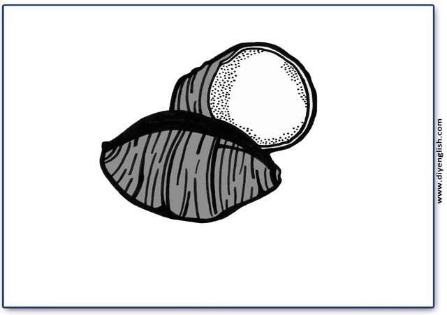 taro – Blank – colour & write flashcard