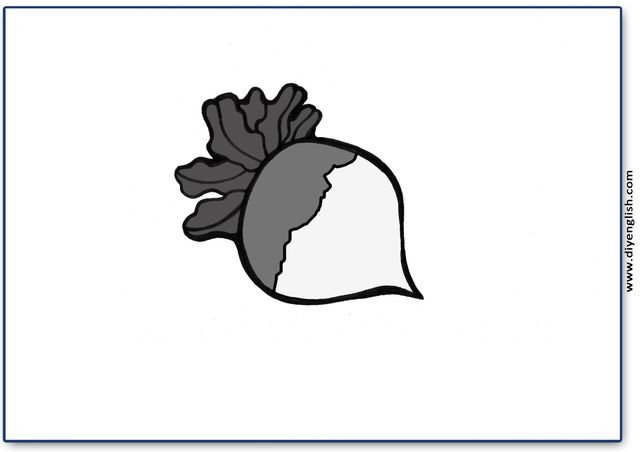 turnip – Blank – colour & write flashcard