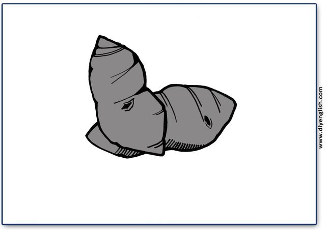 yam / sweet potato – Blank – colour & write flashcard
