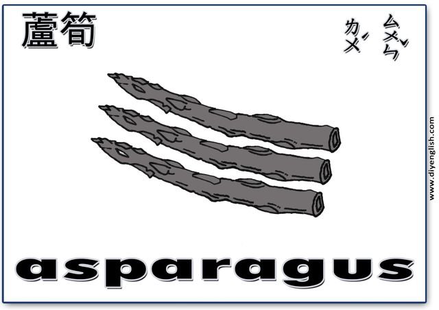 asparagus – Chinese & English flashcard