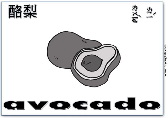 avocado – Chinese & English flashcard