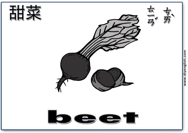 beet – Chinese & English flashcard