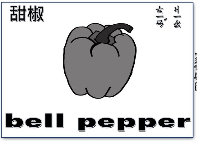 bell pepper – Chinese & English flashcard