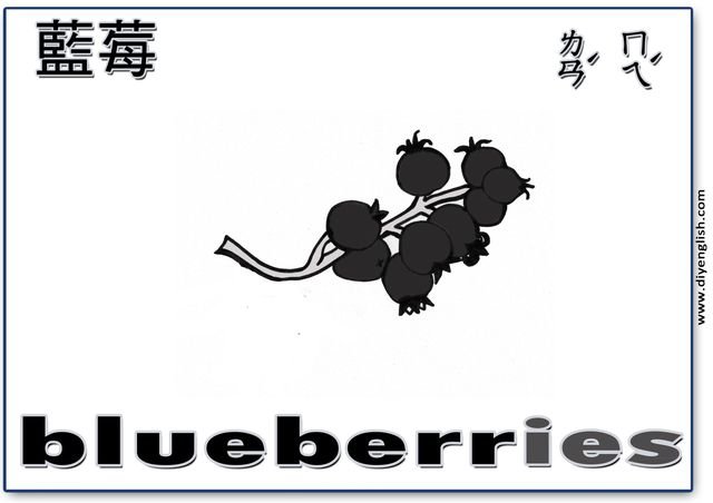blueberries – Chinese & English flashcard