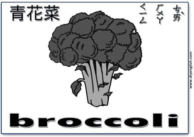 broccoli – Chinese & English flashcard