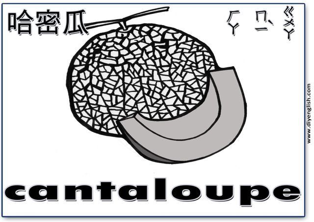cantaloupe – Chinese & English flashcard