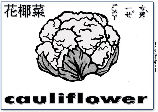cauliflower – Chinese & English flashcard