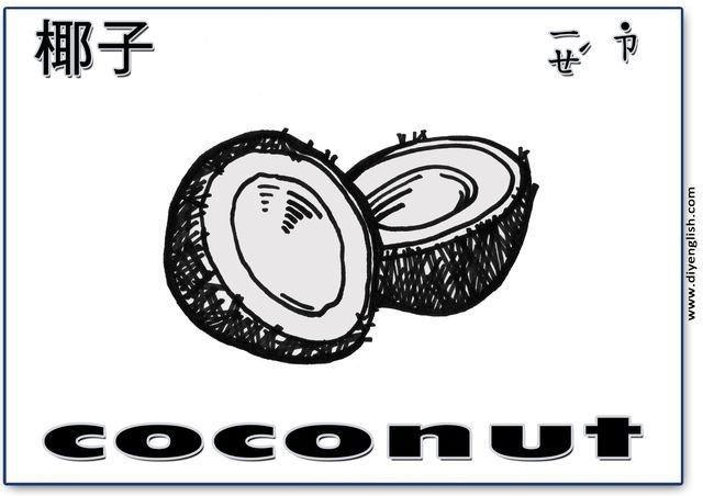 coconut – Chinese & English flashcard