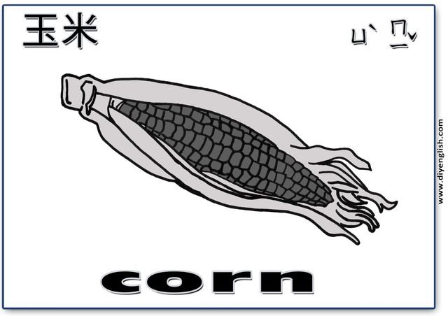 corn – Chinese & English flashcard