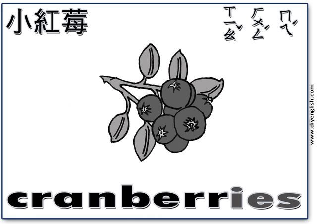 cranberries – Chinese & English flashcard