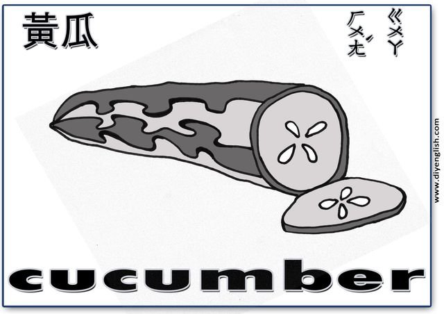 cucumber – Chinese & English flashcard