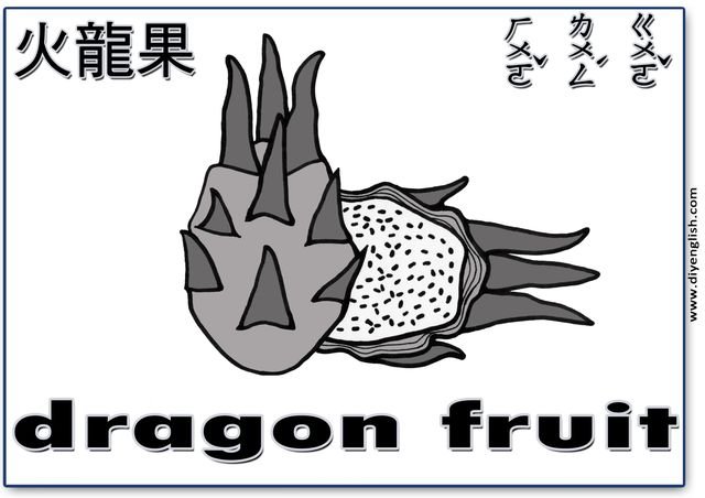 dragon fruit – Chinese & English flashcard