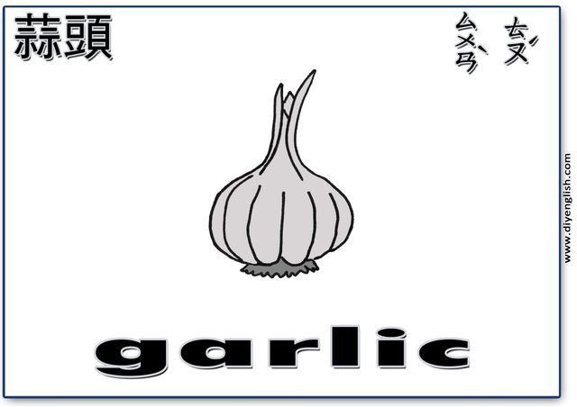 garlic – Chinese & English flashcard