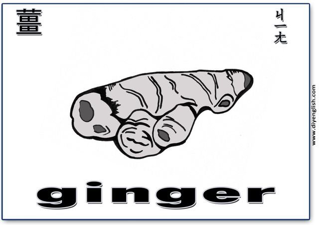ginger – Chinese & English flashcard