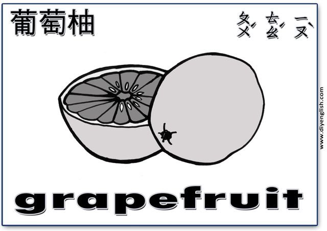 grapefruit – Chinese & English flashcard
