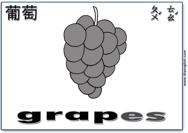 grapes – Chinese & English flashcard