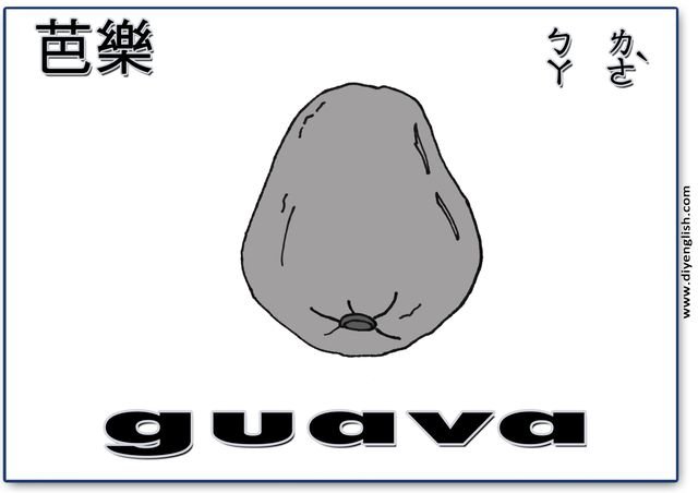 guava – Chinese & English flashcard