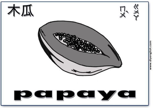 papaya – Chinese & English flashcard