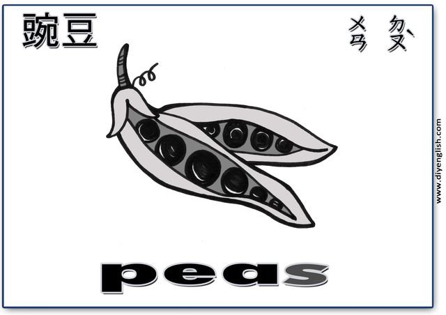 peas – Chinese & English flashcard