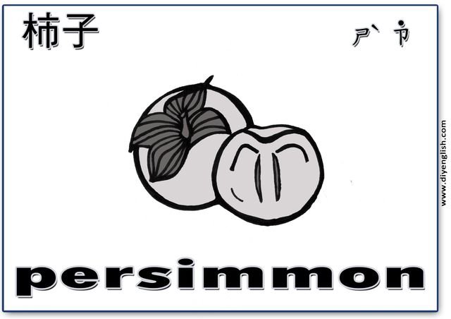 persimmon – Chinese & English flashcard