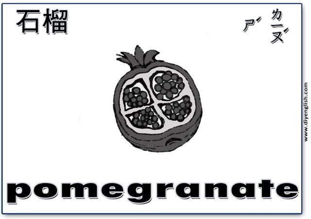 pomegranate – Chinese & English flashcard