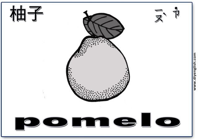 pomelo – Chinese & English flashcard